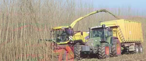 Biomassa Legnosa per il Riscaldamento Industriale