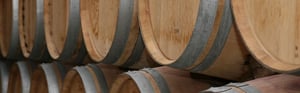 Azienda vinicola e riscaldamento: cosa sapere per risparmiare
