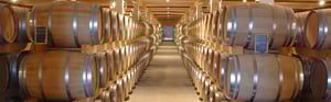 Cantina vinicola a basso consumo energetico