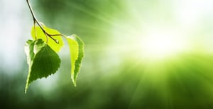 Come funziona il sistema ETS per la riduzione della CO2 nei settori industriali
