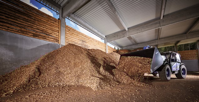 biomassa legnosa per ridurre emissioni CO2